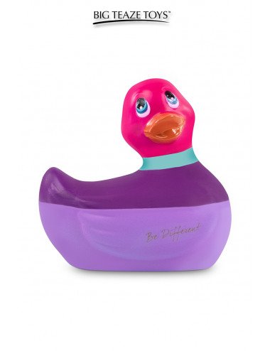 Mini canard vibrant Colors rose