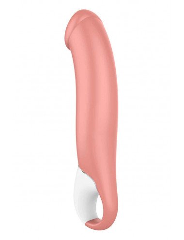 Vibromasseur Master - Satisfyer